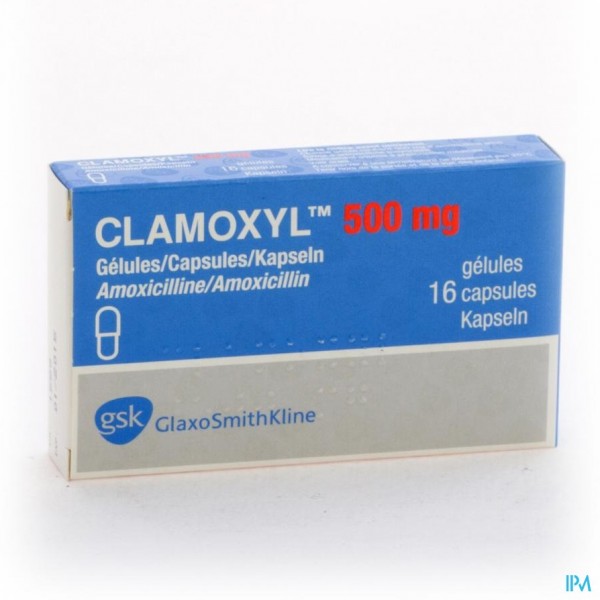 CLAMOXYL CAPS 16 X 500 MG
